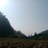 minhiuu_01