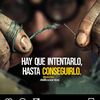 el.tal.david