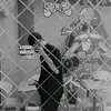 cgvl3