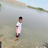user79421068611876