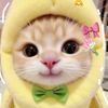 unknown0_.6