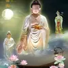 h.anh3111