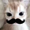 _qwft