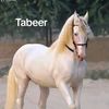 subhan747474