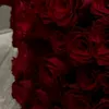 julia_kr46