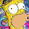 tripchillhouse
