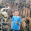 lamin339827134119546
