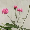 quangkt09