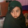 malik.gulzar.2511