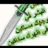 user2444013814791