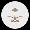 alamer.7s