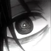 zinris03