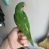 khanh._.huynh.75