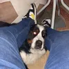 k_wojtkowiak4