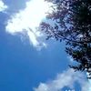 zakirseid12