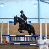 equestrian_gir001