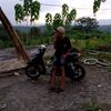 zann.306