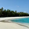 magisviews