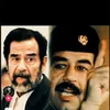 user8811635816050