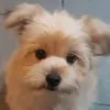 iamnekke_