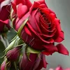 user3124459280068