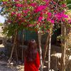 rishna01