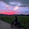 dhoogpp_07