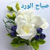 user31260032628843