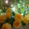 chatbi.khadija