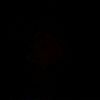 waleed.00187