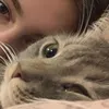 Love Kitties
