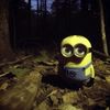 amfewqk