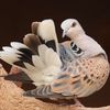 القــنـاص 🕊️