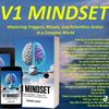 v1mindset