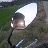 zoraa_selebewww