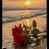 mohammad.mohmmad558