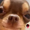 xavidooo1
