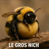 le.gros.nich