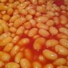 beans4593