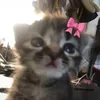 itsnotazuraa