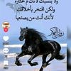 user8000540156754