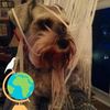 dennis.riddell