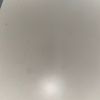 augustolen80
