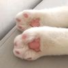 spayder021