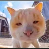mohmmad495