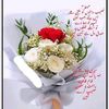 sabir512145