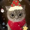 thuy.trmm03