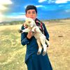 dashti.baloc.h