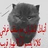 alqaasii