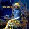 ib_pro4